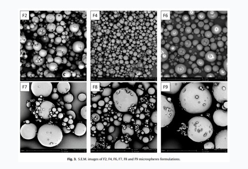 114250_090088_gsdt.png image.png