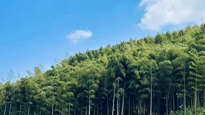 110622_266676_gsdt.jpg V1.jpg