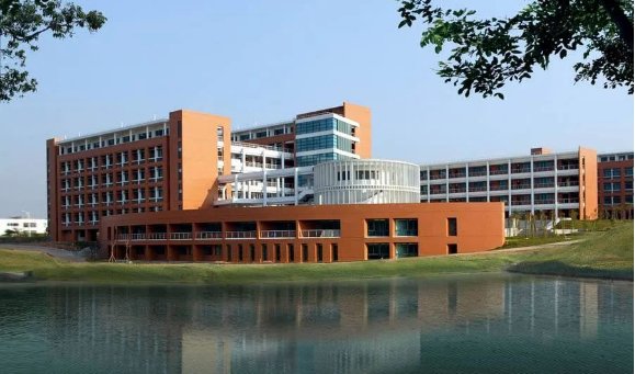 142750_177848_gsdt.png image.png