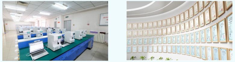 104058_392370_gsdt.png image.png