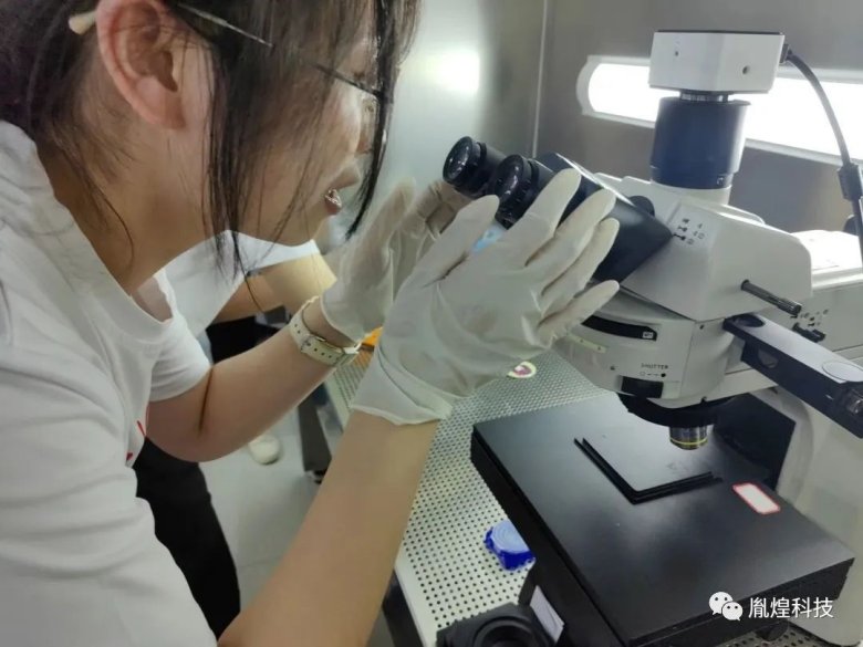 095745_160563_gsdt.jpg 095745_160563_gsdt.jpg