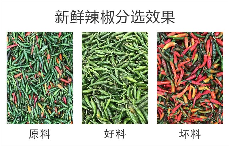 083102_551244_gsdt.jpg 083102_551244_gsdt.jpg