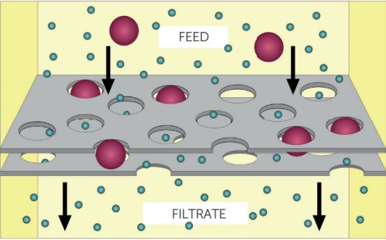 112717_375790_gsdt.png 2.png