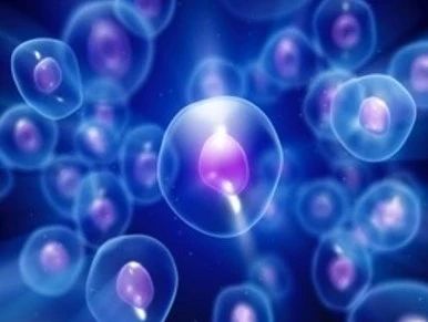 172033_787606_gsdt.jpg 1.jpg