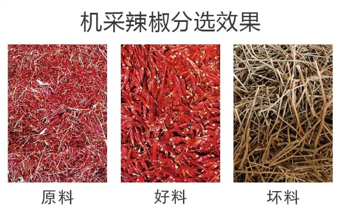 102659_826771_gsdt.png image.png