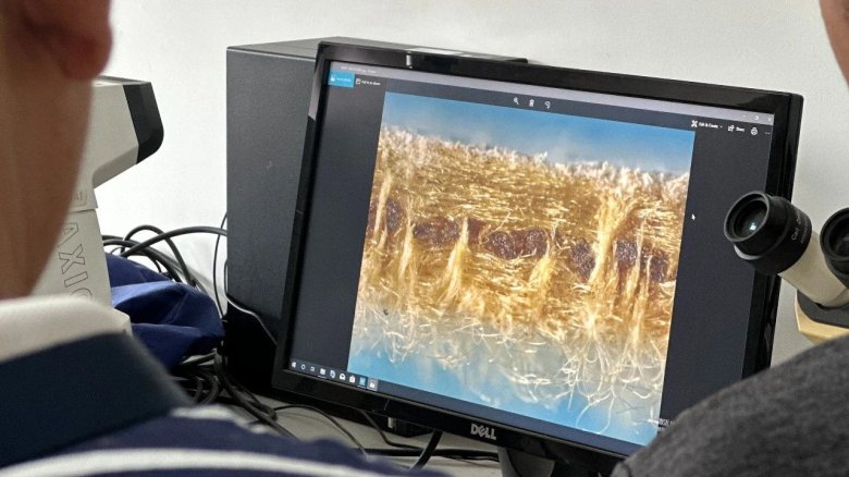 093452_909356_gsdt.jpg 4.jpg