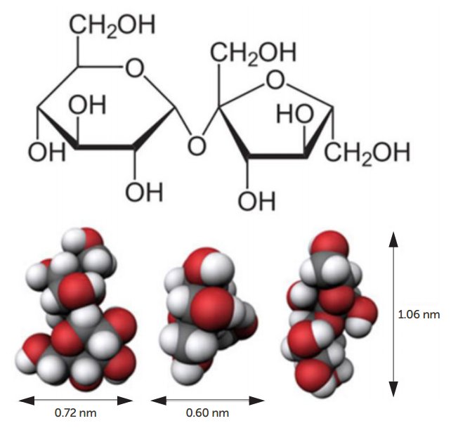 100715_442598_gsdt.png 100715_442598_gsdt.png