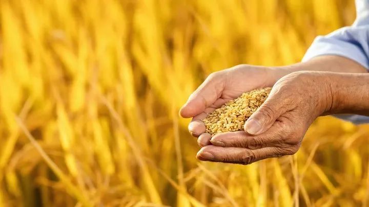 101054_444012_gsdt.jpg 101054_444012_gsdt.jpg