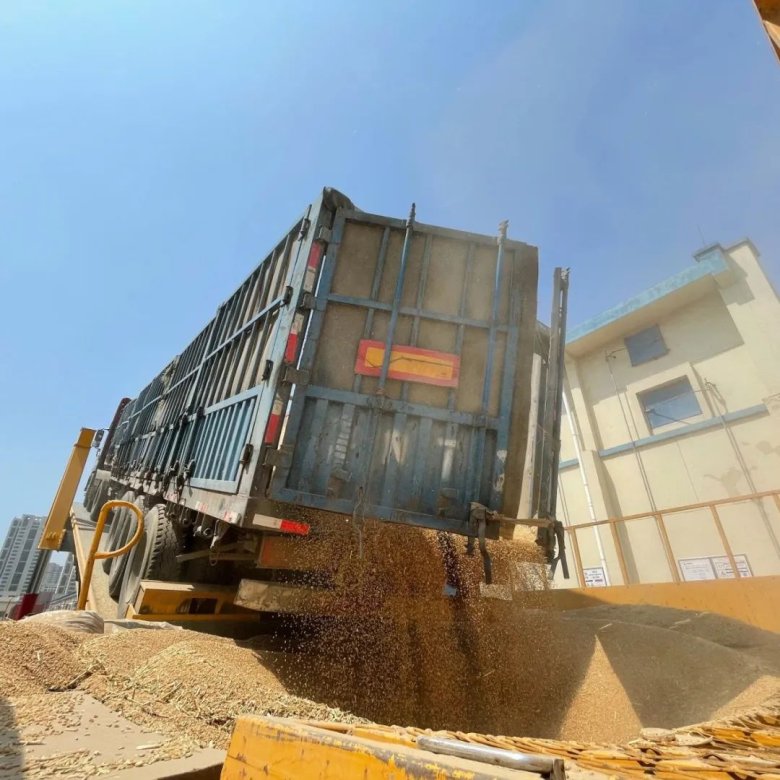 101206_626094_gsdt.jpg 101206_626094_gsdt.jpg