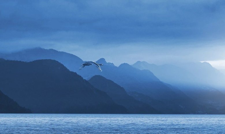 172343_872612_gsdt.jpg 172343_872612_gsdt.jpg