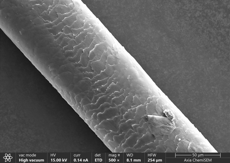 093913_883638_gsdt.png 093913_883638_gsdt.png