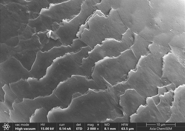 093932_778404_gsdt.png 093932_778404_gsdt.png