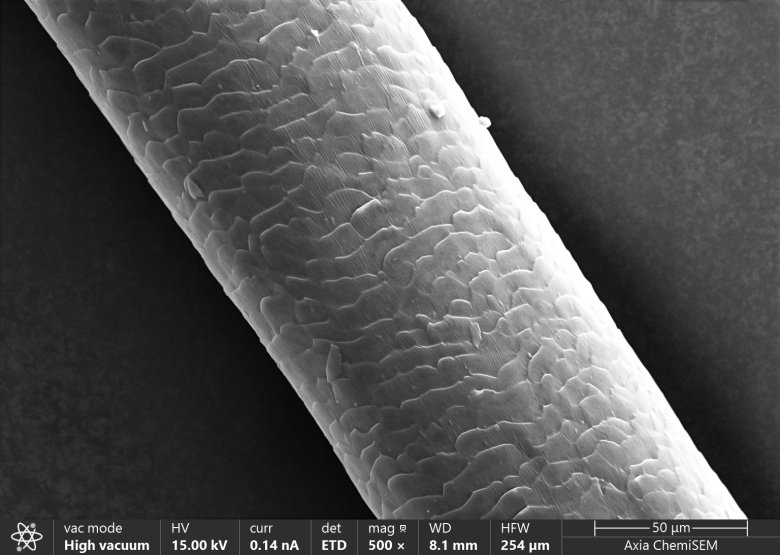 094004_180400_gsdt.png 094004_180400_gsdt.png