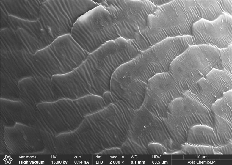 094024_144196_gsdt.png 094024_144196_gsdt.png