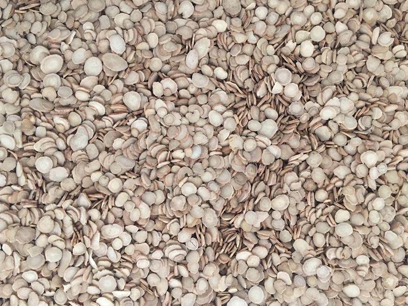 085030_942023_gsdt.jpg 085030_942023_gsdt.jpg