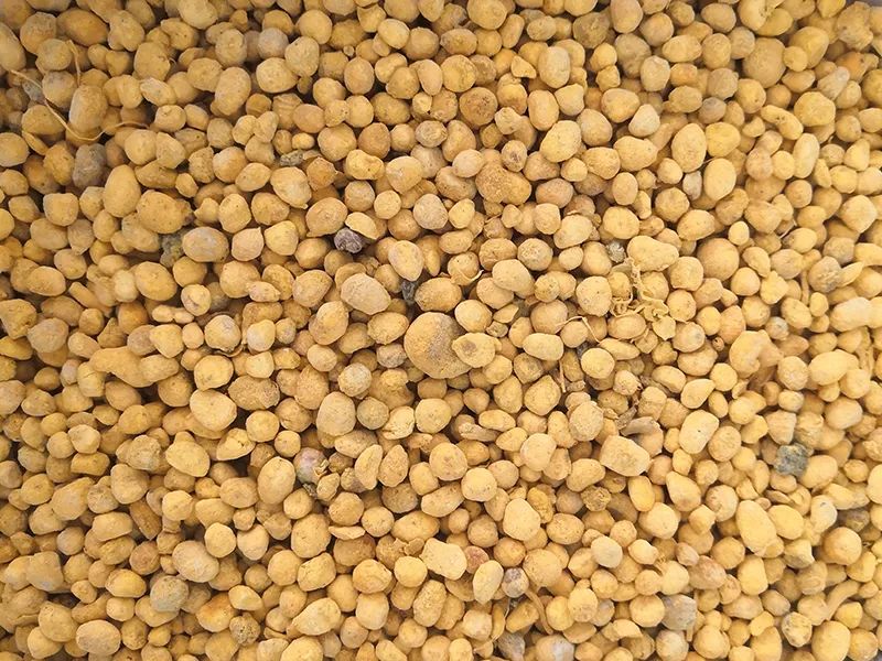 085253_253375_gsdt.jpg 085253_253375_gsdt.jpg