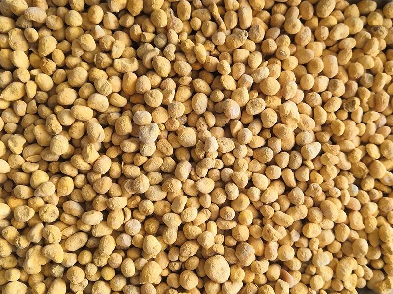 085307_849774_gsdt.jpg 085307_849774_gsdt.jpg