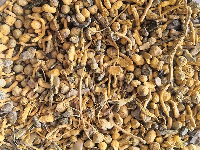 085330_104964_gsdt.jpg 085330_104964_gsdt.jpg