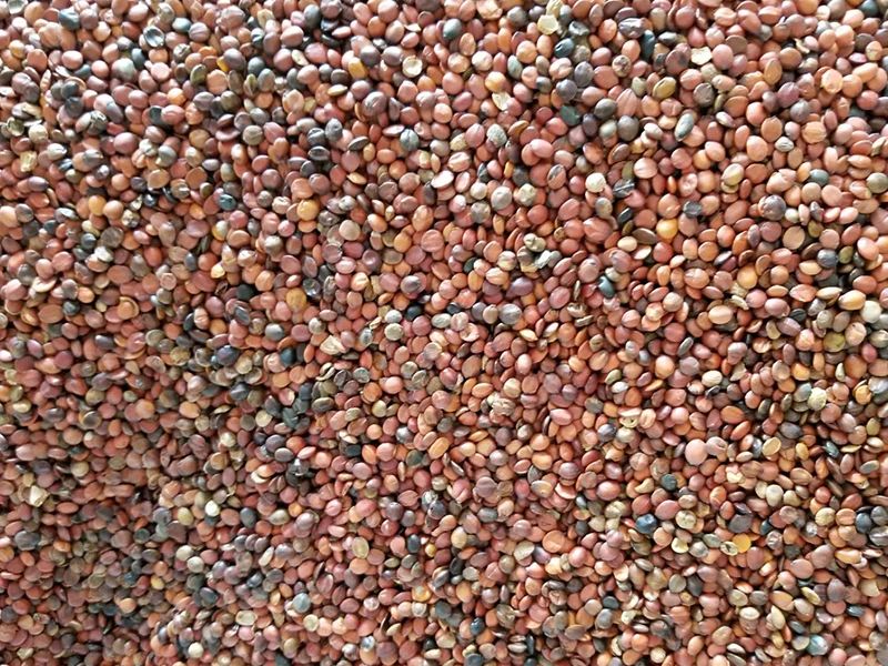 085505_711141_gsdt.jpg 085505_711141_gsdt.jpg