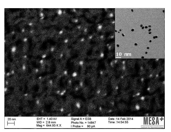 154340_015726_jswz.png 640 (28).png