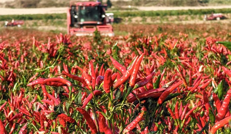 170941_642714_gsdt.jpg 170941_642714_gsdt.jpg