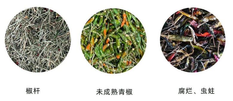 171006_363663_gsdt.jpg 171006_363663_gsdt.jpg