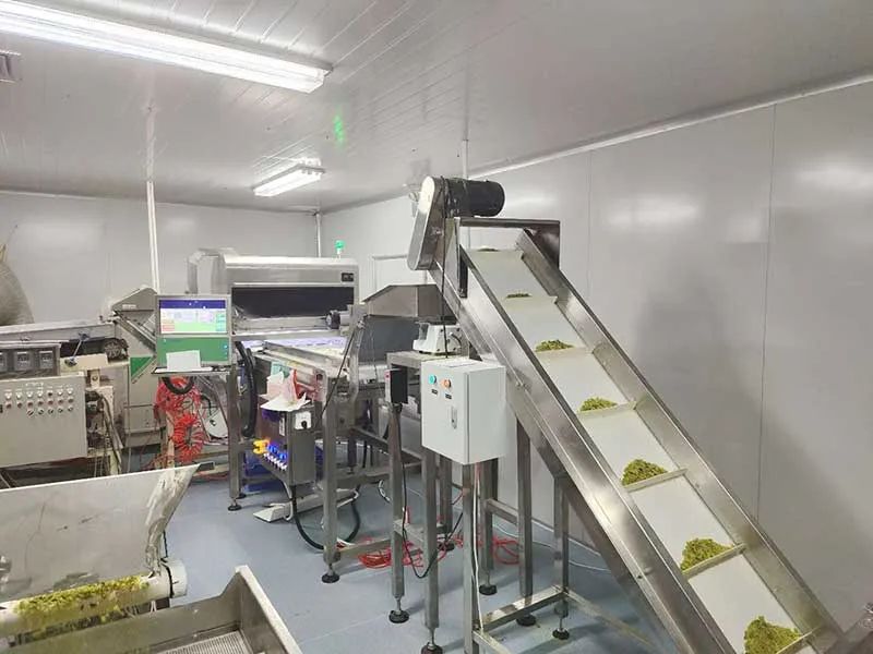 171049_274640_gsdt.jpg 171049_274640_gsdt.jpg