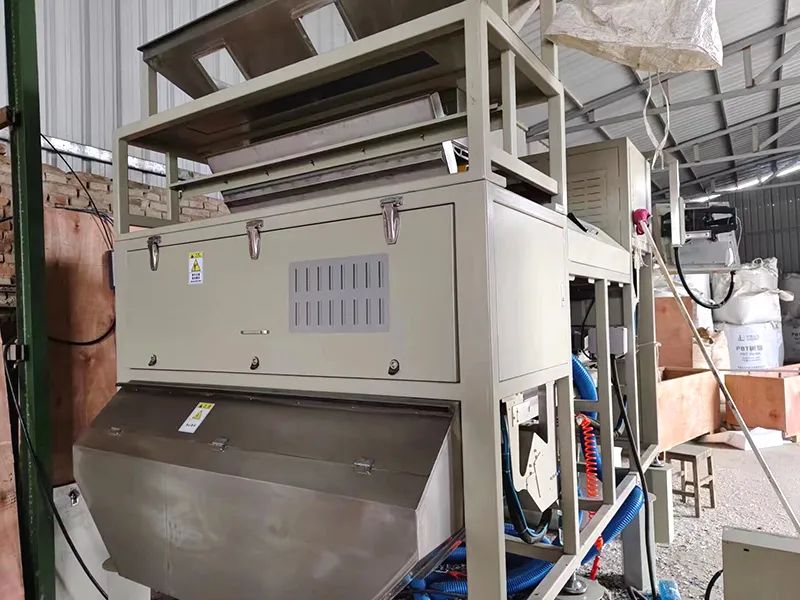 170226_046362_gsdt.jpg 170226_046362_gsdt.jpg