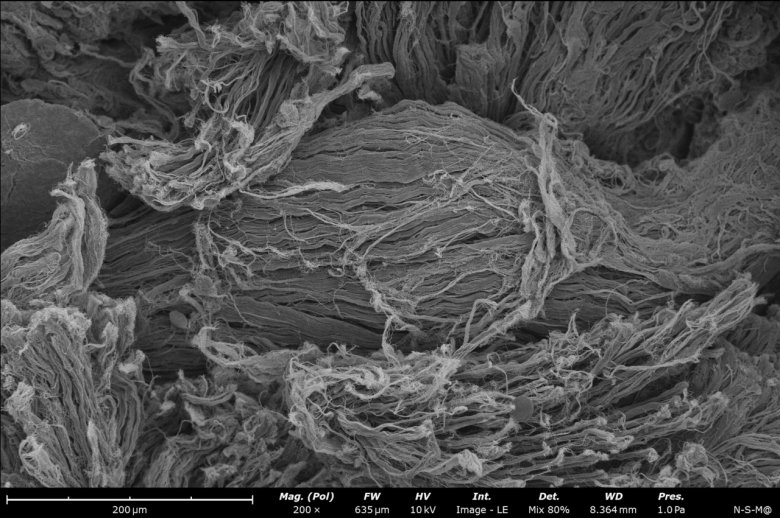 092108_556694_jswz.png 092108_556694_jswz.png