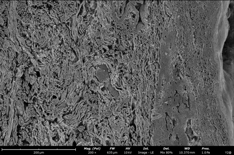 092151_305818_jswz.png 092151_305818_jswz.png