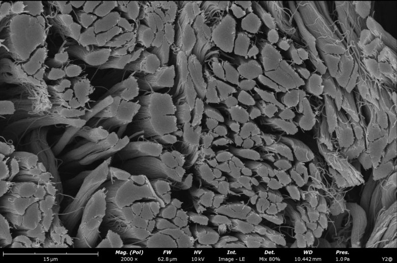 092222_609735_jswz.png 092222_609735_jswz.png