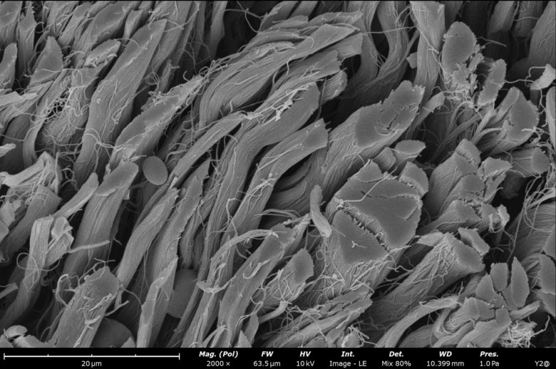 092223_078693_jswz.png 092223_078693_jswz.png