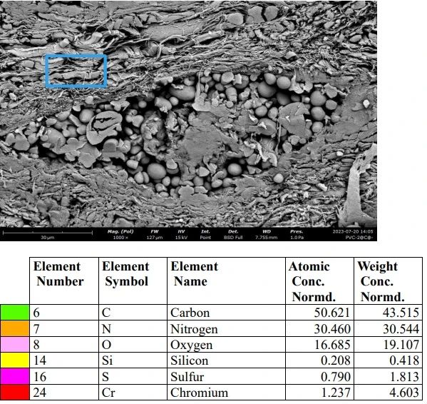 092312_111639_jswz.jpg 092312_111639_jswz.jpg