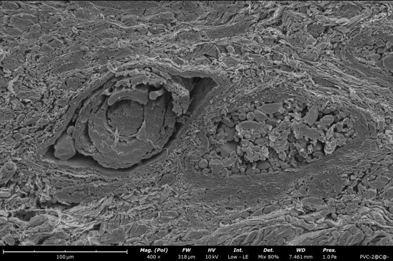 092340_298874_jswz.png 092340_298874_jswz.png