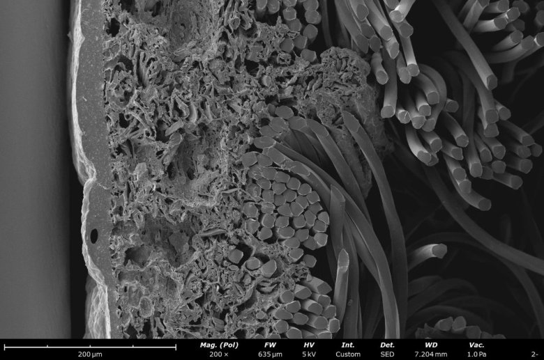 092419_686041_jswz.jpg 092419_686041_jswz.jpg