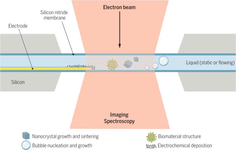 131110_990457_gsdt.png 1.png