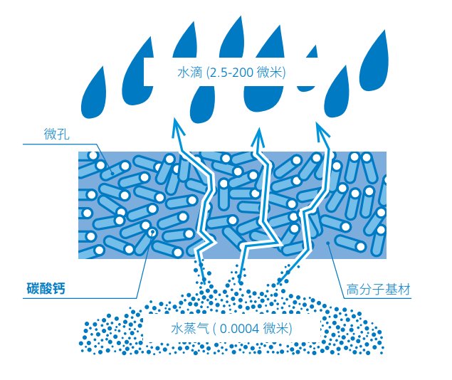 080757_867739_gsdt.png 微信圖片_20231018095428.png