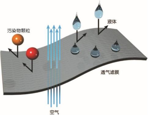 081917_734247_gsdt.jpg R-C (11).jpg