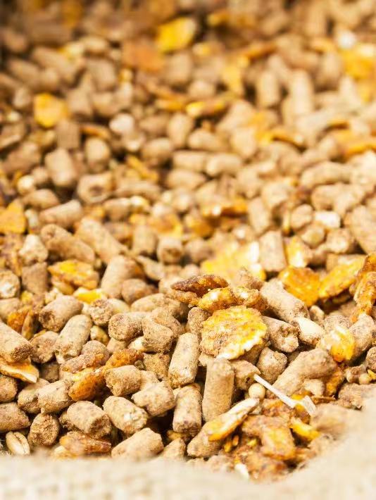 112423_204447_gsdt.jpg 2.jpg