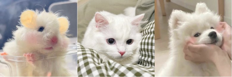 095756_938942_jswz.png 2.png