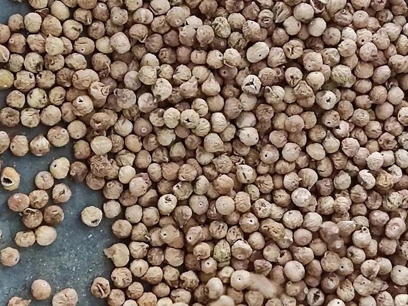 150012_765910_gsdt.jpg 150012_765910_gsdt.jpg