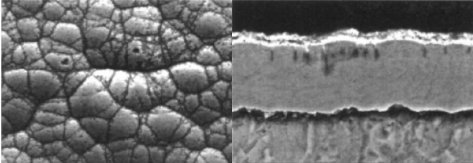 102235_576385_jswz.png 微信圖片_20231226102109.png