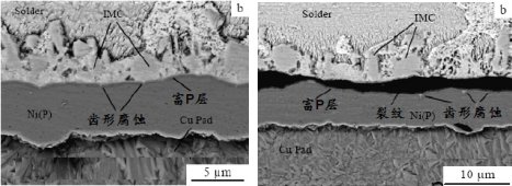 102248_150923_jswz.png 微信圖片_20231226102118.png