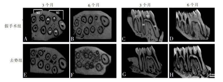 110233_847069_jswz.jpg 110233_847069_jswz.jpg