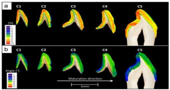 110333_089758_jswz.png 微信圖片_20231226102916.png