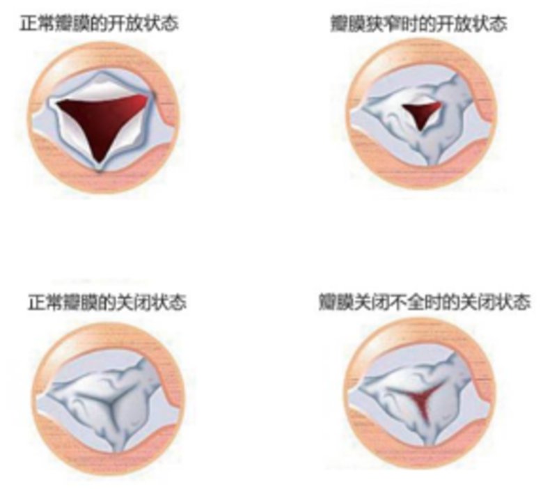 165742_241868_jswz.png 165742_241868_jswz.png