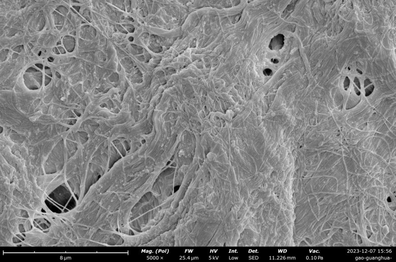 165947_442868_jswz.png 165947_442868_jswz.png