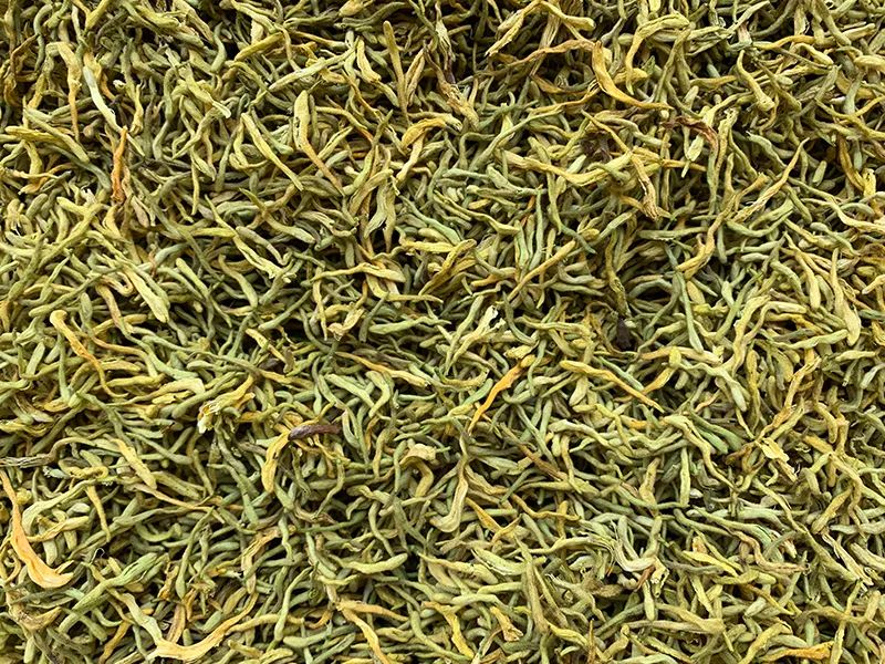 171459_419157_gsdt.jpg 171459_419157_gsdt.jpg