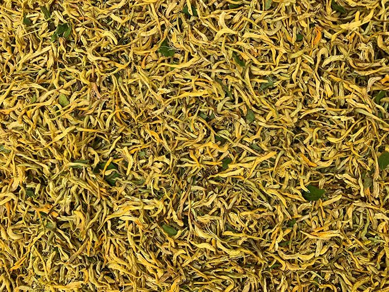 171524_851418_gsdt.jpg 171524_851418_gsdt.jpg