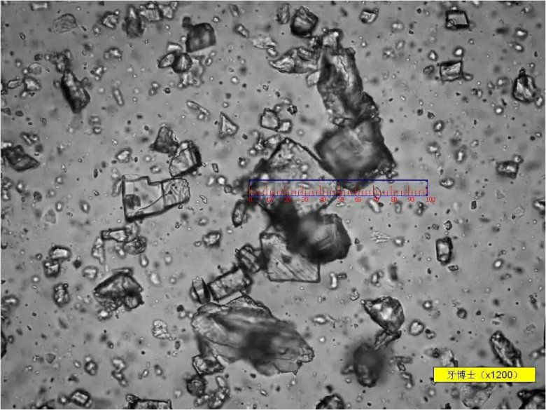 093822_569255_jswz.jpg 093822_569255_jswz.jpg